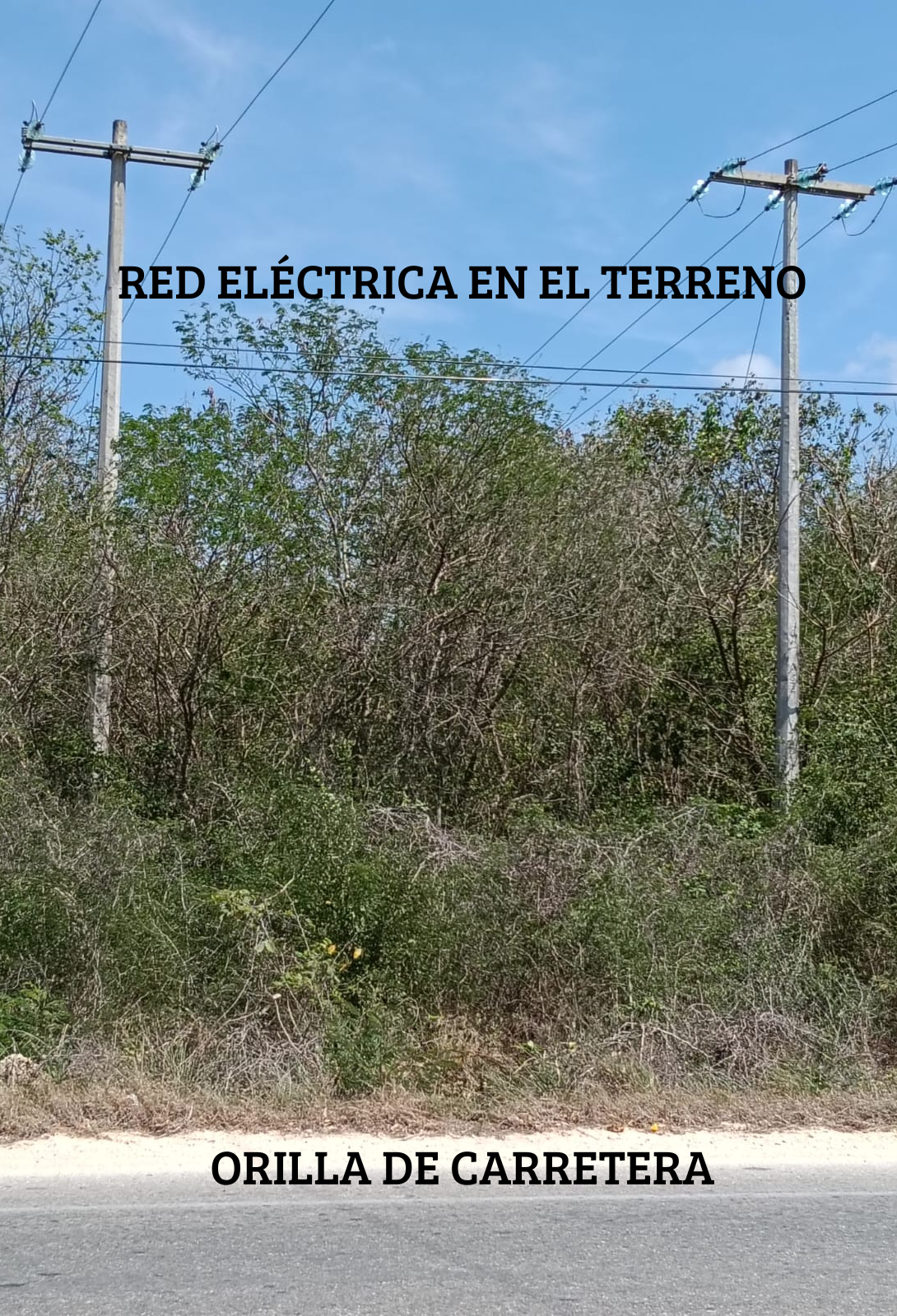 Vista del frente del terreno sobre carretera