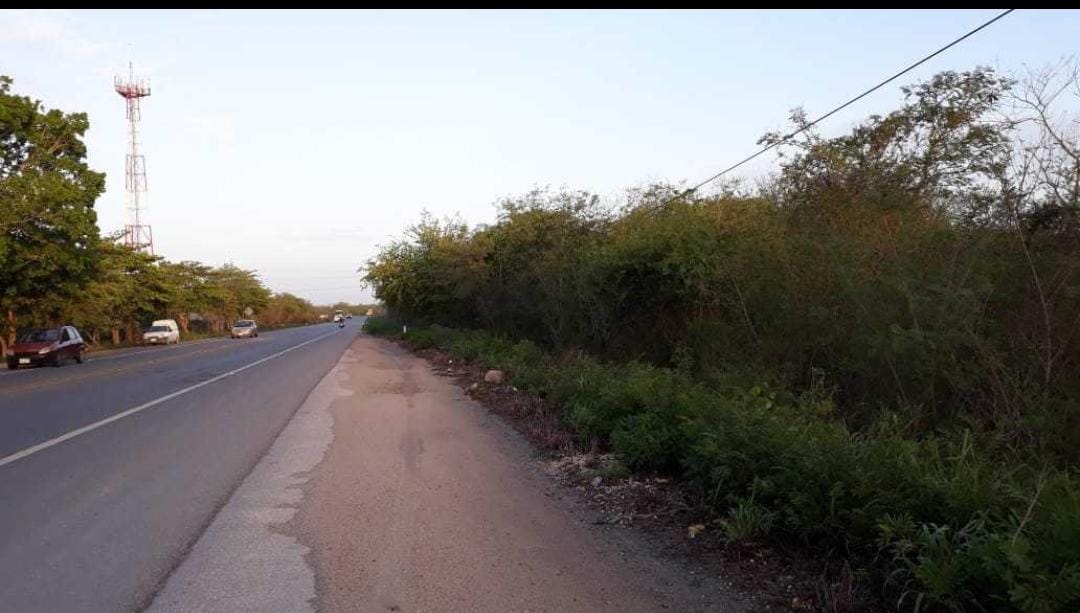 Vista del frente del terreno sobre carretera