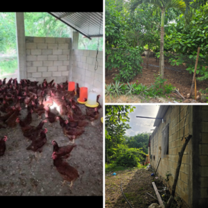 Granja de 15,000 metros cuadrados